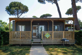 Fabulous village Casal Palocco